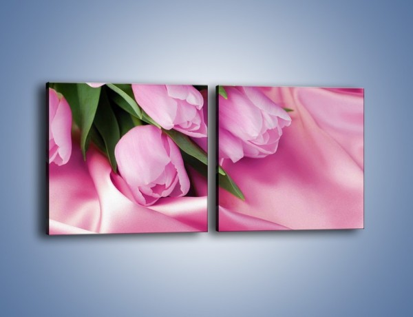 Obraz na płótnie – Atłas wśród tulipanów – dwuczęściowy kwadratowy poziomy K152