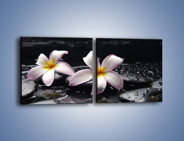 Obraz na płótnie – Delikatne kwiaty w kąpieli wodnej – dwuczęściowy kwadratowy poziomy K157