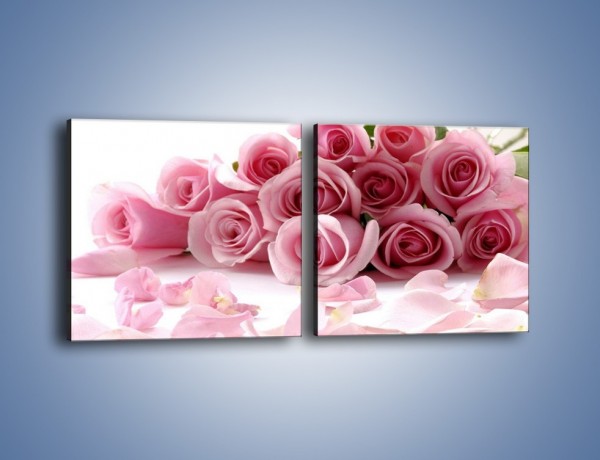 Obraz na płótnie – Nadal piękne róże – dwuczęściowy kwadratowy poziomy K167