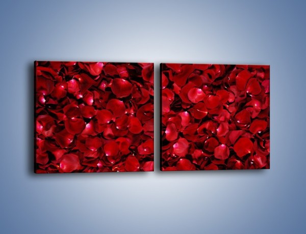 Obraz na płótnie – Dywan usłany płatkami róż – dwuczęściowy kwadratowy poziomy K175