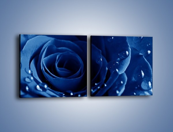 Obraz na płótnie – Noc odbita w płatkach róż – dwuczęściowy kwadratowy poziomy K176