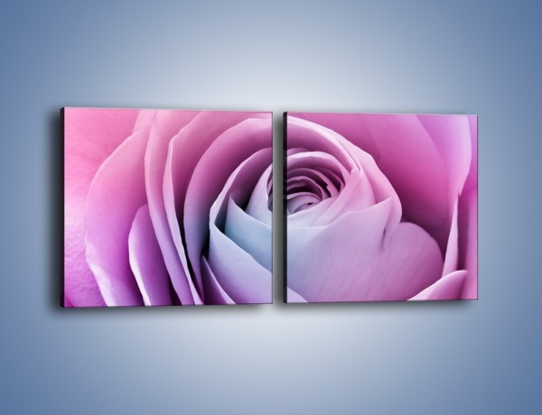 Obraz na płótnie – Pączek róży o poranku – dwuczęściowy kwadratowy poziomy K178