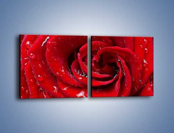 Obraz na płótnie – Kwiat pełen miłości – dwuczęściowy kwadratowy poziomy K179