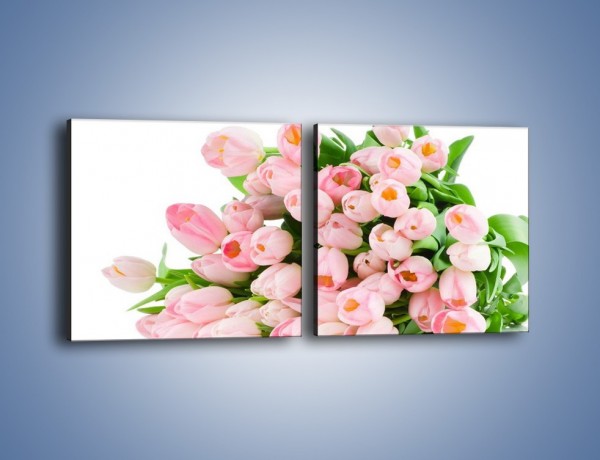 Obraz na płótnie – Wiosna w tulipanach – dwuczęściowy kwadratowy poziomy K182