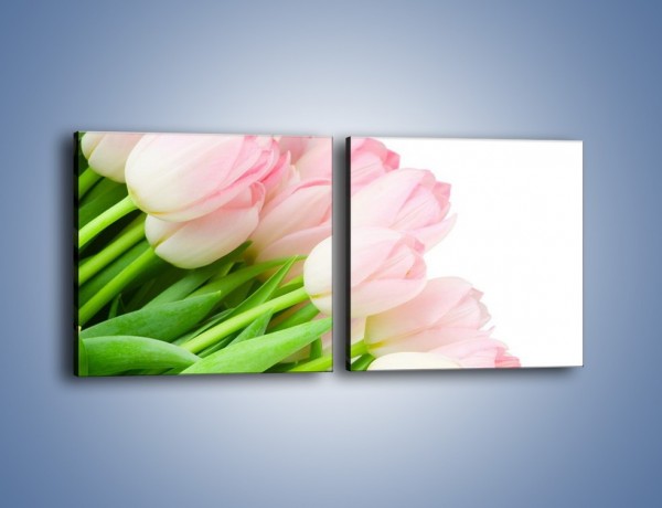 Obraz na płótnie – Światło w kwiatach – dwuczęściowy kwadratowy poziomy K183