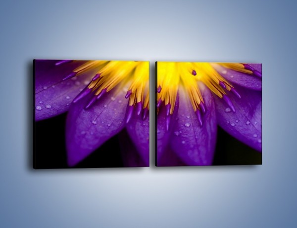Obraz na płótnie – Baśniowy kwiat z tajemnicą – dwuczęściowy kwadratowy poziomy K189
