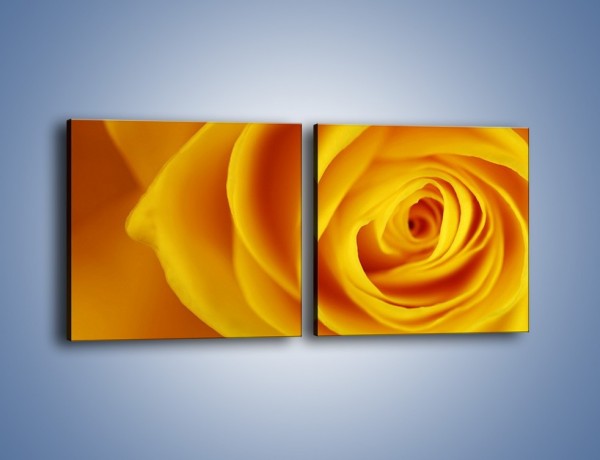 Obraz na płótnie – Kwiaty w kolorze zimy – dwuczęściowy kwadratowy poziomy K191