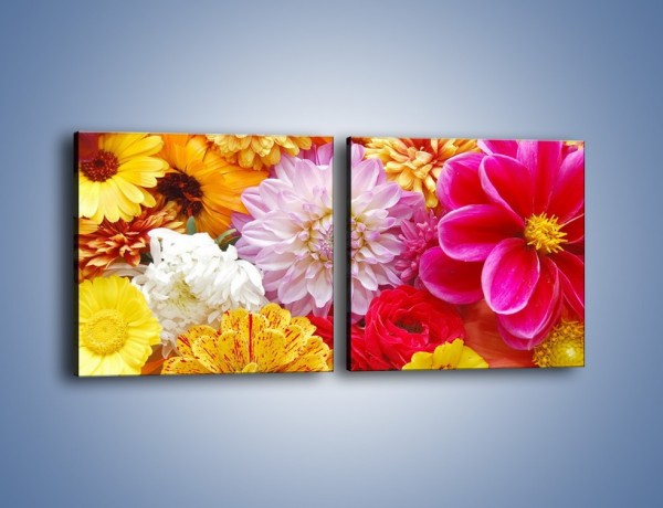 Obraz na płótnie – Letnie kwiaty z działki – dwuczęściowy kwadratowy poziomy K198