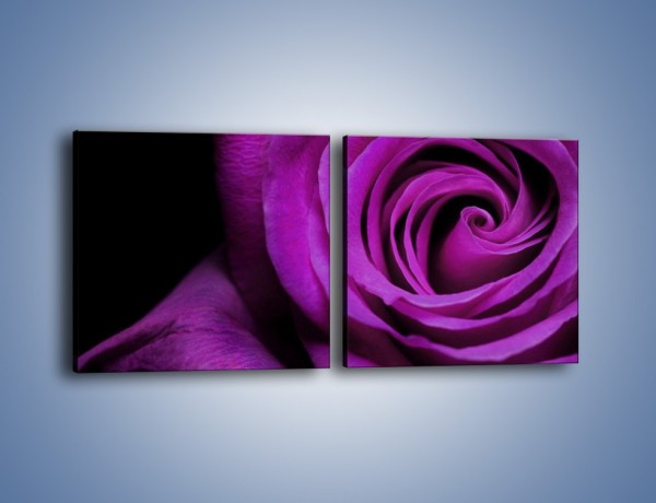 Obraz na płótnie – Tajemniczy różany fiolet – dwuczęściowy kwadratowy poziomy K313