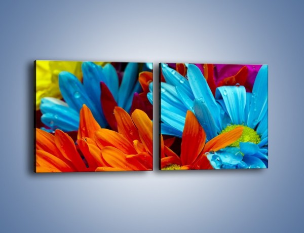 Obraz na płótnie – Kolorowo i kwiatowo – dwuczęściowy kwadratowy poziomy K375