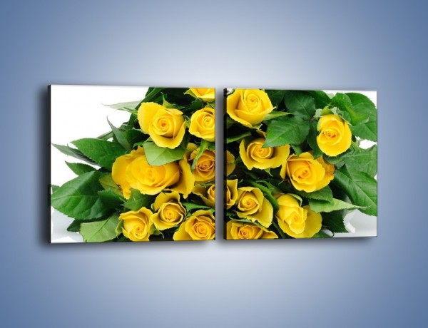 Obraz na płótnie – Wiosenny uśmiech w różach – dwuczęściowy kwadratowy poziomy K379