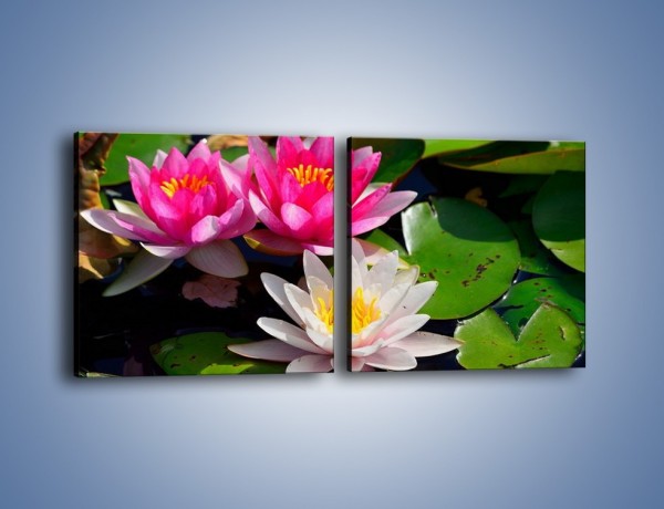 Obraz na płótnie – Pływające kwiaty – dwuczęściowy kwadratowy poziomy K392