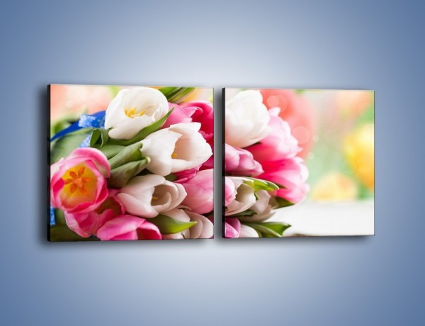 Obraz na płótnie – Tulipany w letniej odsłonie – dwuczęściowy kwadratowy poziomy K404