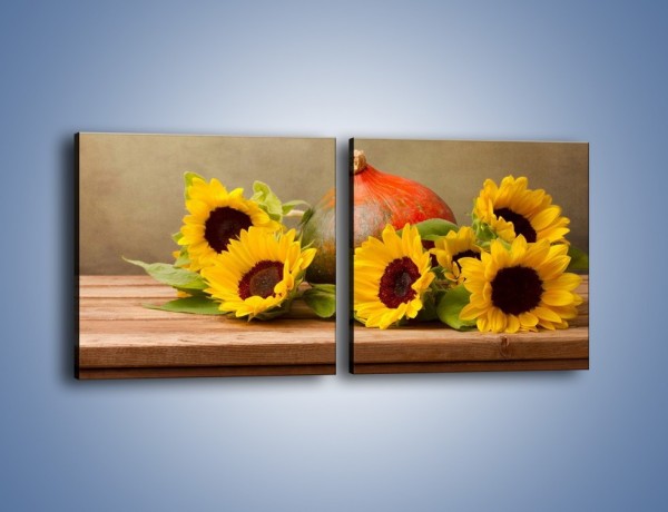 Obraz na płótnie – Słoneczniki w jesiennym klimacie – dwuczęściowy kwadratowy poziomy K418