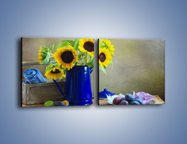 Obraz na płótnie – Słoneczniki w niebieskiej konewce – dwuczęściowy kwadratowy poziomy K420