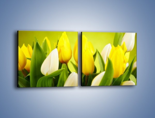 Obraz na płótnie – Nie tylko tulipany – dwuczęściowy kwadratowy poziomy K425
