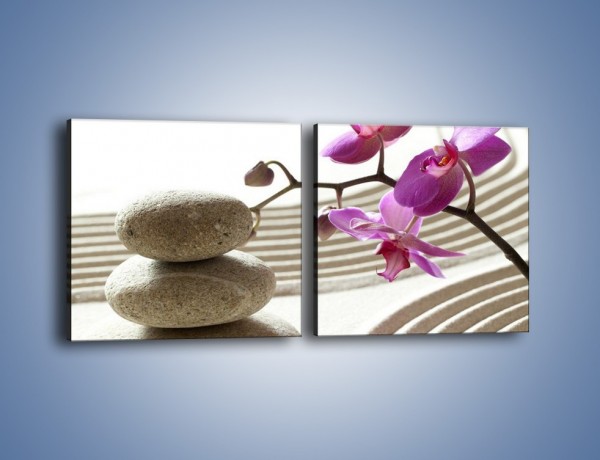 Obraz na płótnie – Kamień piasek i kwiat – dwuczęściowy kwadratowy poziomy K435