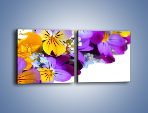 Obraz na płótnie – Ciepłe kolory w kwiatach – dwuczęściowy kwadratowy poziomy K442