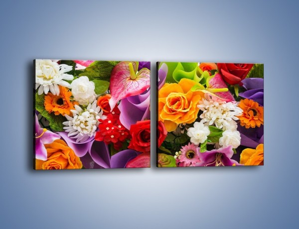 Obraz na płótnie – Kwiaty w kolorze tęczy – dwuczęściowy kwadratowy poziomy K462