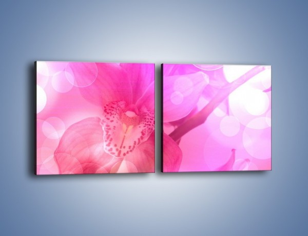 Obraz na płótnie – Budzący dzień w różowym kwiecie – dwuczęściowy kwadratowy poziomy K487