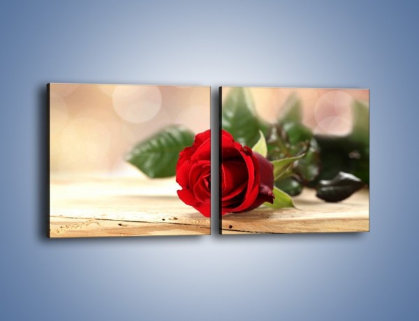 Obraz na płótnie – Stęskniona róża – dwuczęściowy kwadratowy poziomy K505