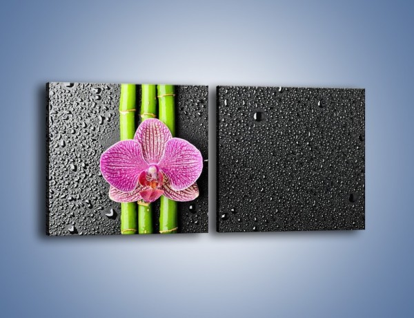 Obraz na płótnie – Kwiat na bambusie – dwuczęściowy kwadratowy poziomy K519