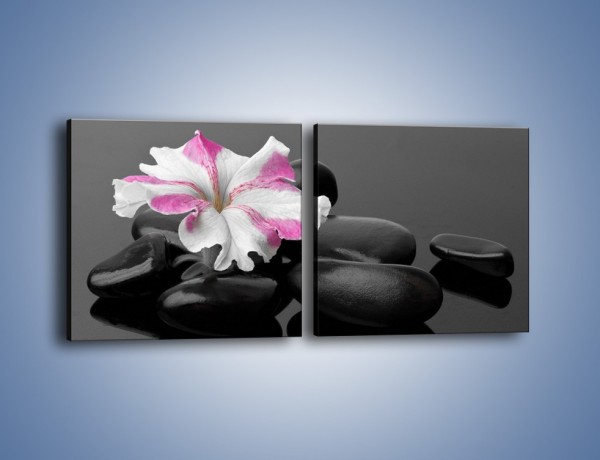 Obraz na płótnie – Czarna tafla z kwiatem – dwuczęściowy kwadratowy poziomy K520