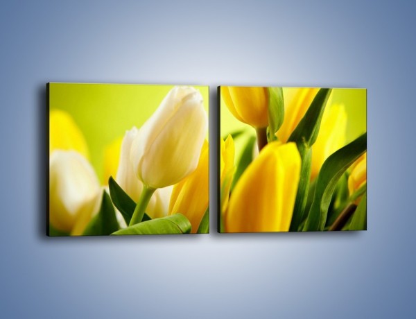 Obraz na płótnie – Żółta historia o kwiatach – dwuczęściowy kwadratowy poziomy K553