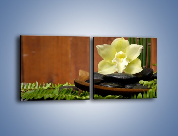 Obraz na płótnie – Kwiat na liściach paproci – dwuczęściowy kwadratowy poziomy K577