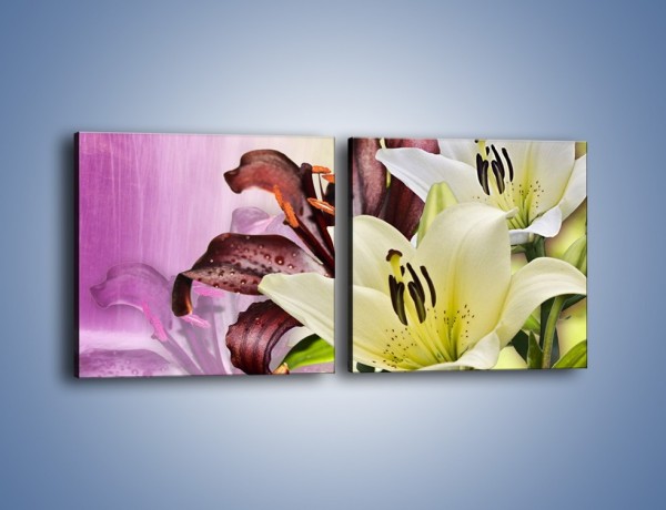 Obraz na płótnie – Podwójna twarz lilii – dwuczęściowy kwadratowy poziomy K584