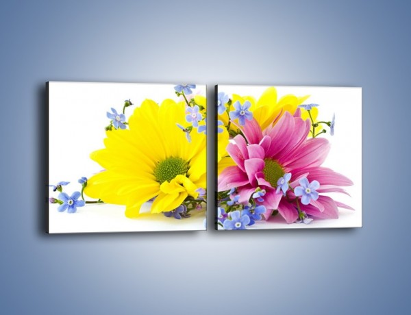 Obraz na płótnie – Niezapominajki wśród kwiatów – dwuczęściowy kwadratowy poziomy K604