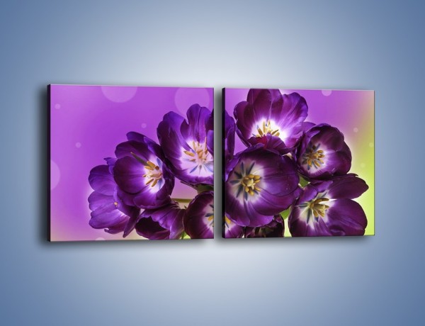 Obraz na płótnie – Fioletowe kwiaty w powietrzu – dwuczęściowy kwadratowy poziomy K630