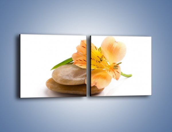 Obraz na płótnie – Kwiat jak mango – dwuczęściowy kwadratowy poziomy K631