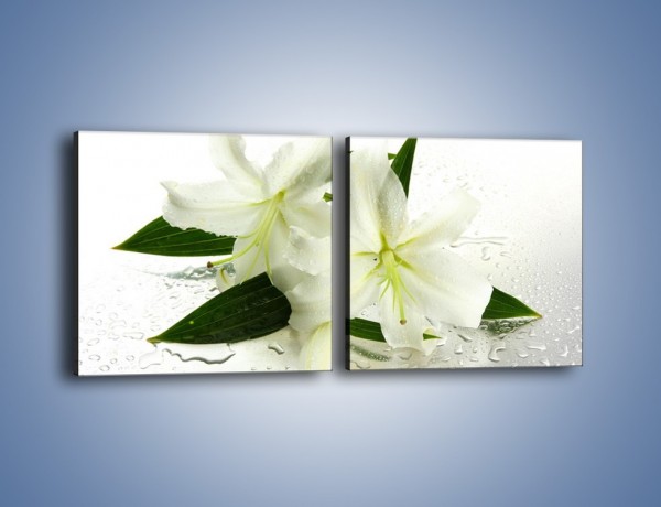 Obraz na płótnie – Niewinność białej lilii – dwuczęściowy kwadratowy poziomy K632