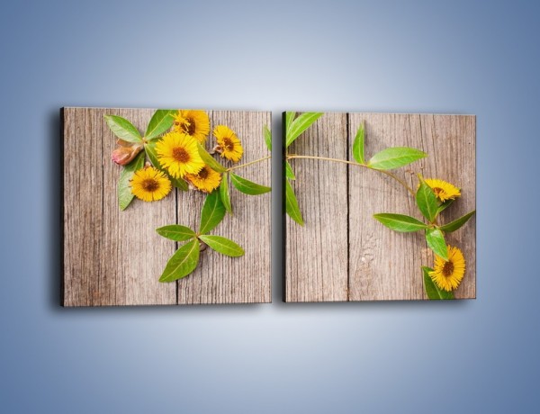 Obraz na płótnie – Słoneczne kwiatuszki na deskach – dwuczęściowy kwadratowy poziomy K645