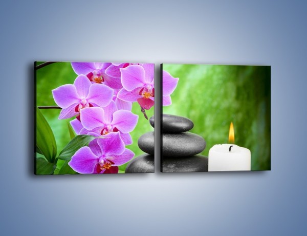 Obraz na płótnie – Kwiat ogrzany płomieniami – dwuczęściowy kwadratowy poziomy K663