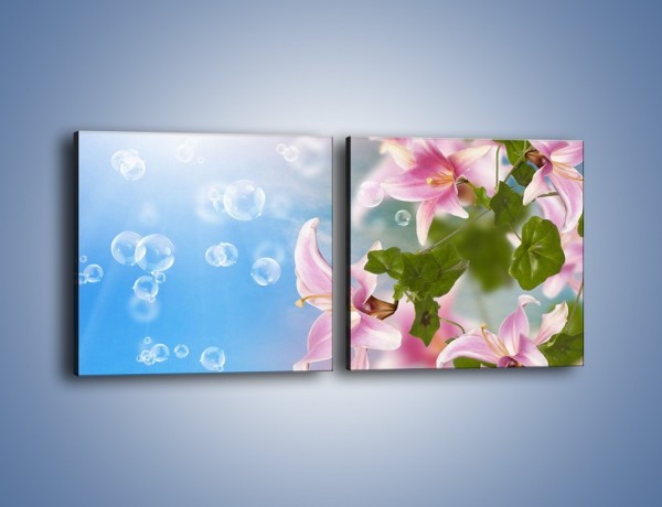 Obraz na płótnie – Mydlane bańki nad kwiatami – dwuczęściowy kwadratowy poziomy K669