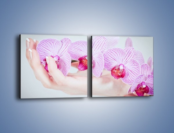 Obraz na płótnie – Piękno kwiatów w dłoni – dwuczęściowy kwadratowy poziomy K690