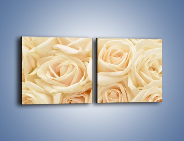Obraz na płótnie – Bukiet herbacianych róż – dwuczęściowy kwadratowy poziomy K710