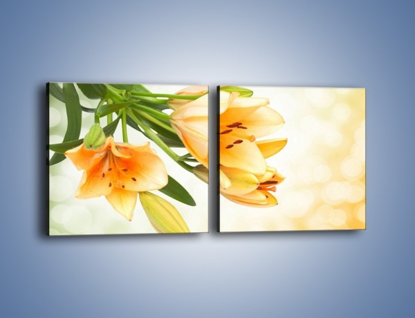 Obraz na płótnie – Łososiowe pachnące lilie – dwuczęściowy kwadratowy poziomy K755