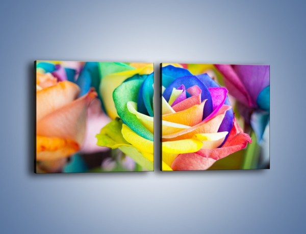 Obraz na płótnie – Róże z każdej strony – dwuczęściowy kwadratowy poziomy K798