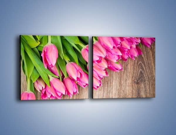 Obraz na płótnie – Do góry nogami z tulipanami – dwuczęściowy kwadratowy poziomy K807