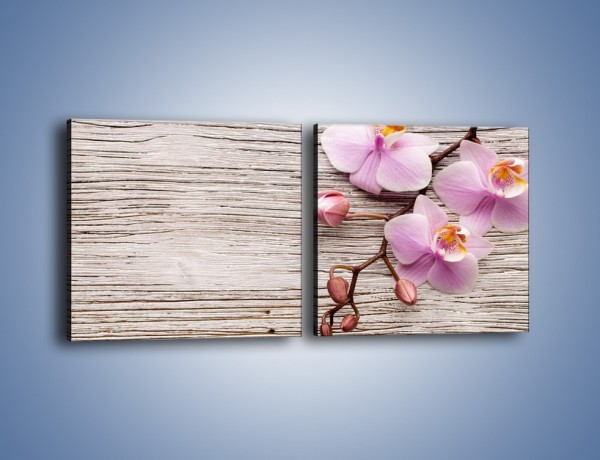 Obraz na płótnie – Kwiaty na drewnianej belce – dwuczęściowy kwadratowy poziomy K825