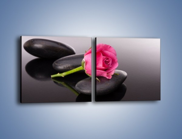 Obraz na płótnie – Ścięta róża na czarnej tafli – dwuczęściowy kwadratowy poziomy K832