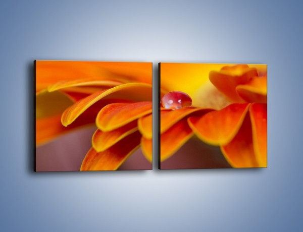 Obraz na płótnie – Kwiatowa pojedyncza łza – dwuczęściowy kwadratowy poziomy K872