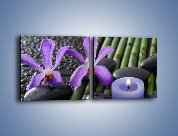 Obraz na płótnie – Mokre fiolety i kwiaty – dwuczęściowy kwadratowy poziomy K880