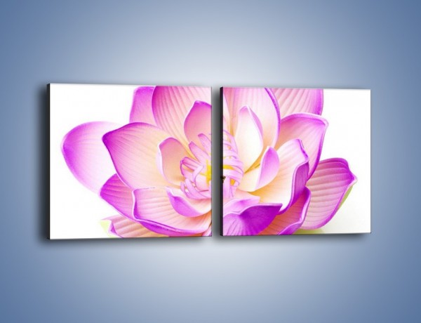 Obraz na płótnie – Kwiat otwarty na świat – dwuczęściowy kwadratowy poziomy K890
