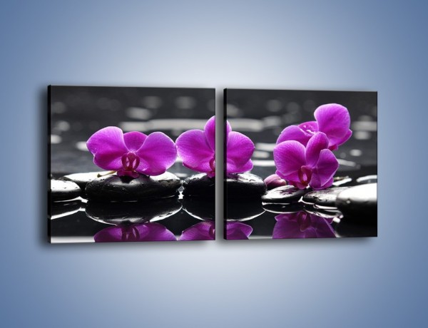 Obraz na płótnie – Wodny szereg kwiatowy – dwuczęściowy kwadratowy poziomy K905