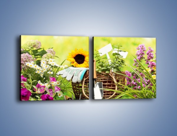 Obraz na płótnie – Sezon na działkowe kwiatki – dwuczęściowy kwadratowy poziomy K917
