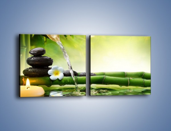 Obraz na płótnie – Bambus i źródło wody – dwuczęściowy kwadratowy poziomy K930